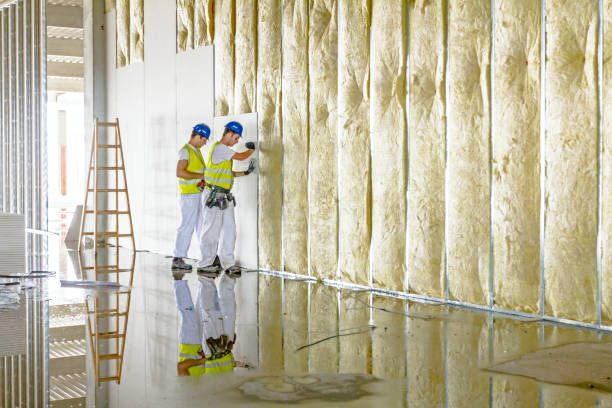 Types of Insulation We Offer in Effingham, IL